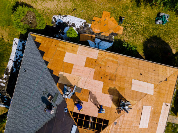 Best Flat Roof Repair Services  in Whitg, IN